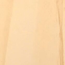 Maple 568